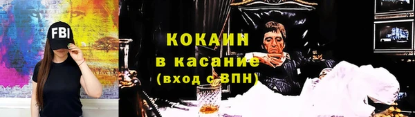 гидра Верхний Тагил