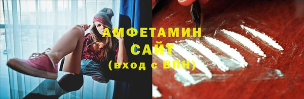 гидра Верхний Тагил