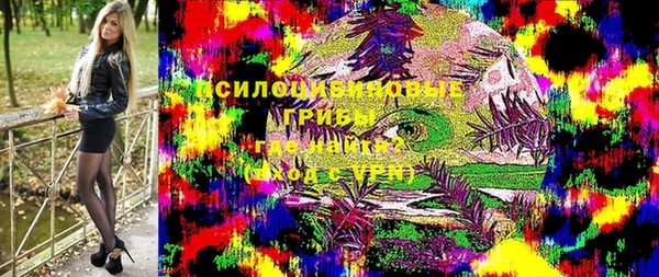 хмурый Верея