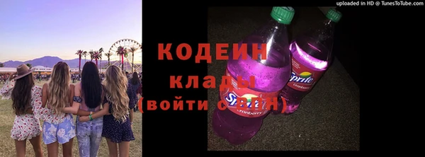 хмурый Верея