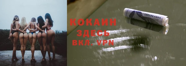 хмурый Верея