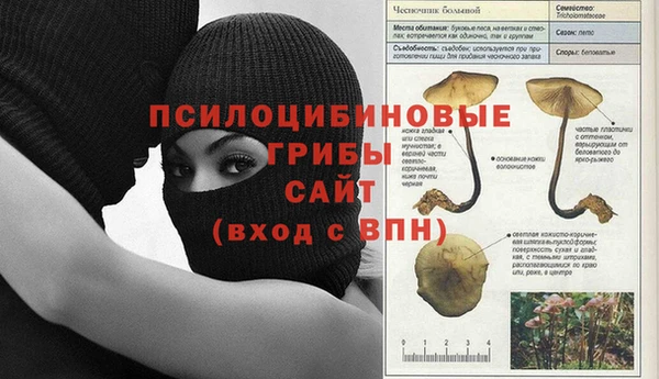 гидра Верхний Тагил