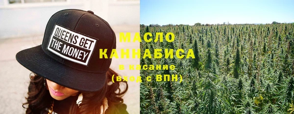 шишки Анива