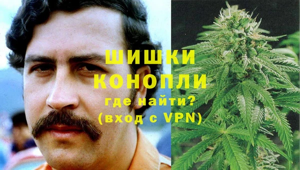 гидра Верхний Тагил