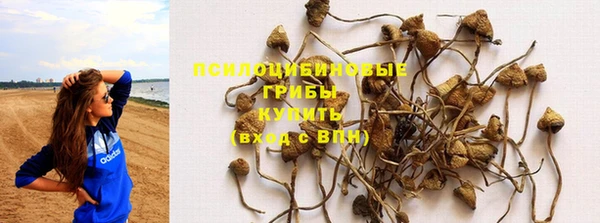 хмурый Верея