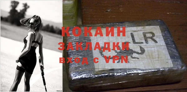 гидра Верхний Тагил
