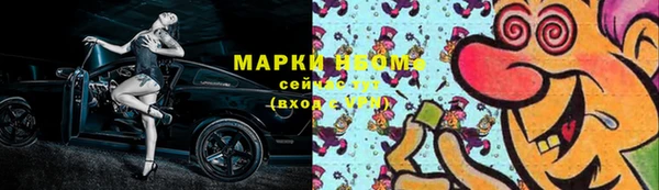 хмурый Верея