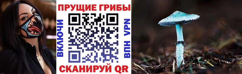 Галлюциногенные грибы Psilocybe  hydra tor  Вичуга 