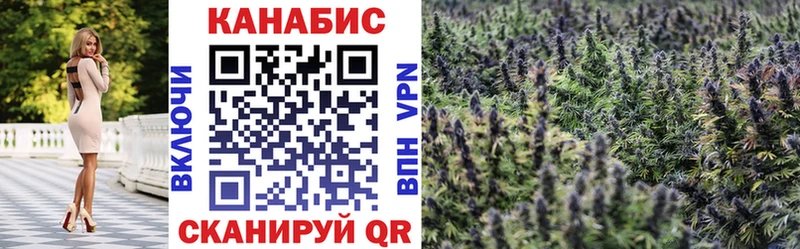 дарнет шоп  Вичуга  кракен как зайти  Каннабис планчик 